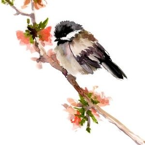 Meet your Posher, Chicadees